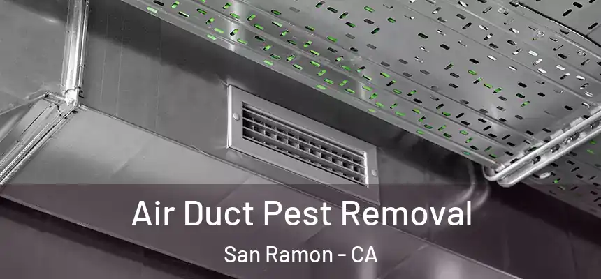 Air Duct Pest Removal San Ramon - CA