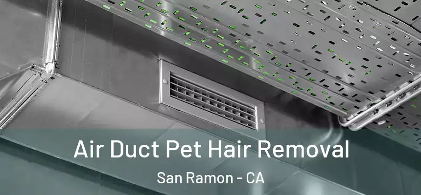 Air Duct Pet Hair Removal San Ramon - CA