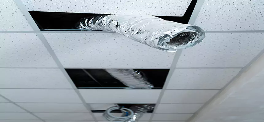 Affordable HVAC Sanitizing After Pest Removal in San Ramon