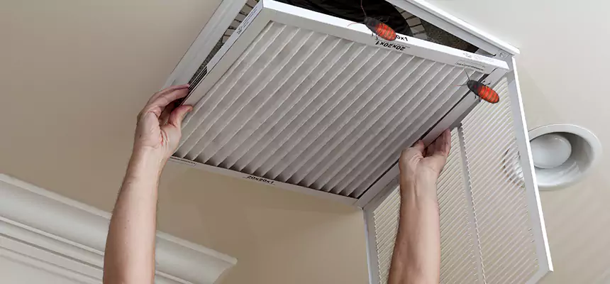 Our Insect Removal from Air Ducts Services in San Ramon, CA