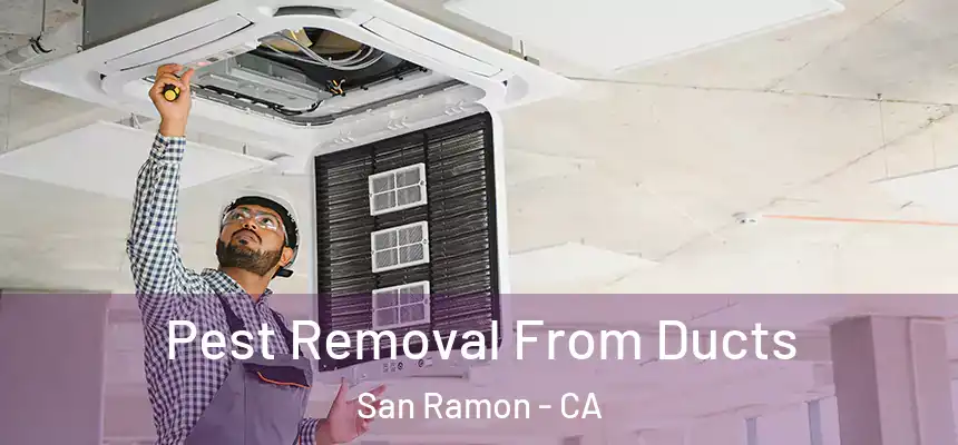Pest Removal From Ducts San Ramon - CA