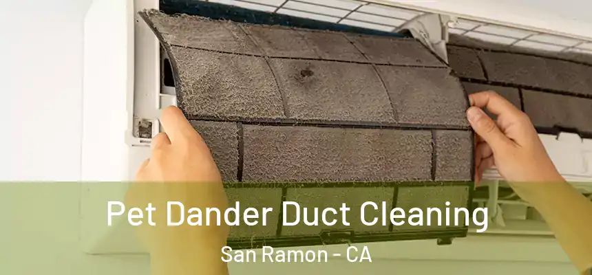 Pet Dander Duct Cleaning San Ramon - CA