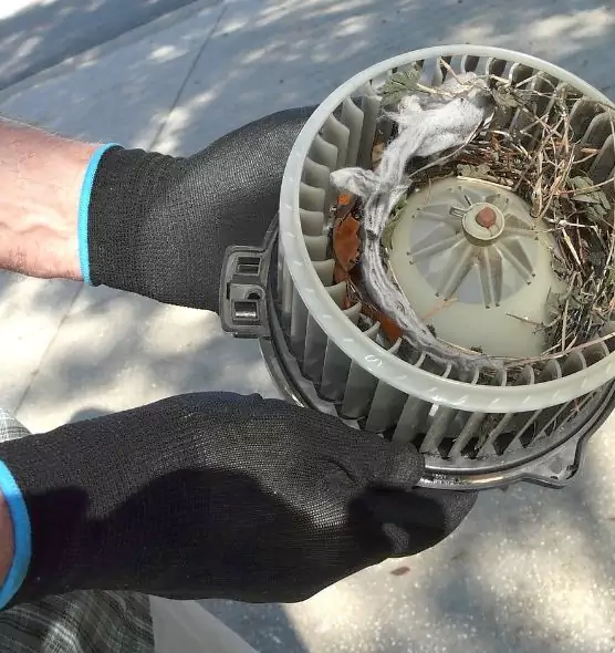 About Air Duct Mice Removal in San Ramon, CA