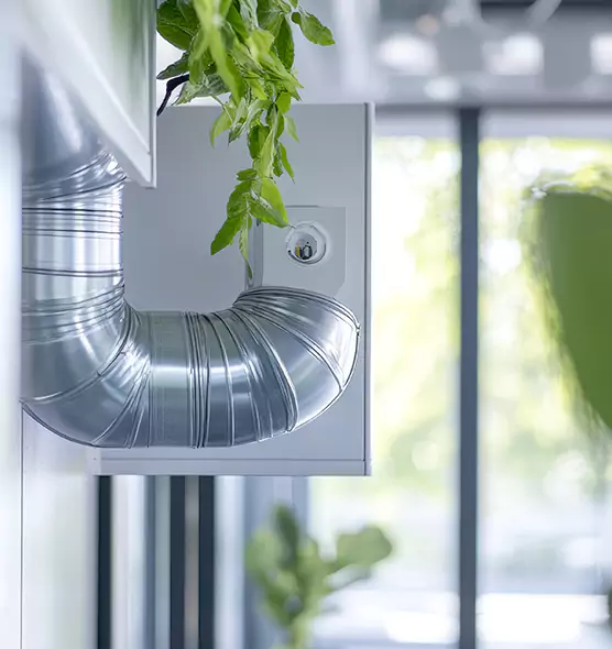 Professional Eco-Safe Dryer Vent Cleaning in San Ramon, CA