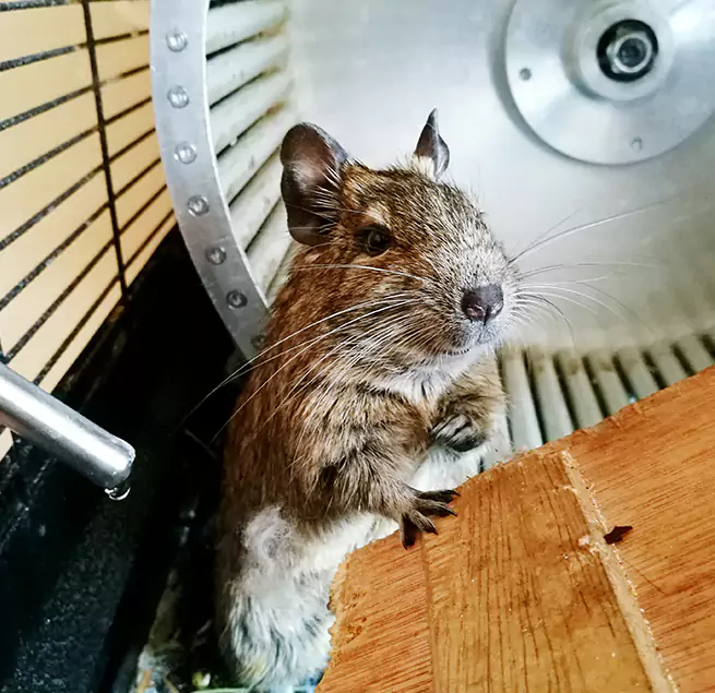 Why Homeowners & Businesses Trust Us San Ramon, CA