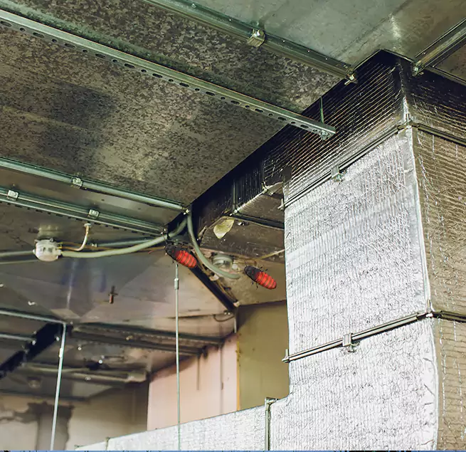 Why Homeowners & Businesses Trust Us San Ramon, CA?